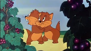 Two Gophers From Texas 13