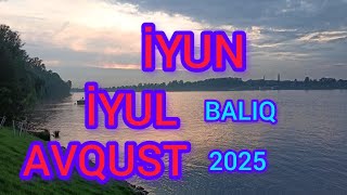 Baliq Bürcü. Iyun, İyul, Avqust. Taro-Proqnoz. 2025.