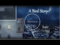 "Kan Gao & Cryaotic - A Bird Story (Skyvoice piano Tribute)