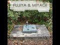 Fujiya & Miyagi - Chichikov