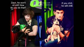 One Direction - funny pictures part 5