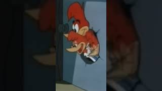 Woody The Woodpecker Cartoon