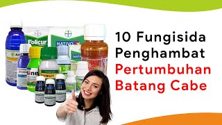 10 Fungisida Menghambat Pertumbuhan Batang Tanaman Cabe Ongan Triazol