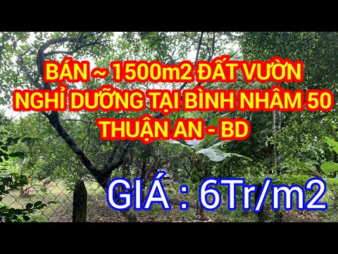 Đất Vườn Bình Nhâm 50, Thuận An, Bình Dương | ~ 1500m2 (20x80m) | Giá : 6tr/m2
