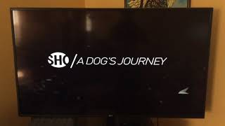 A Dogs Journey - Showtime Intro Request