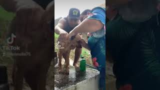 10 De Abril De 2023, Nallinha Ama Tomar Banho