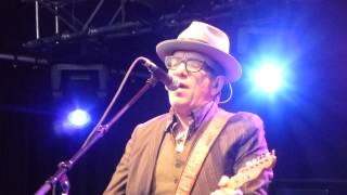 Watch Elvis Costello Song With Rose video