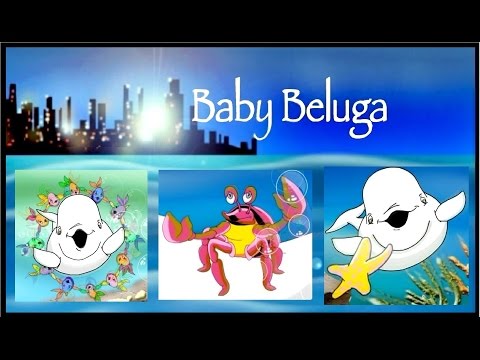 BABY BELUGA