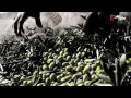 Ibleide. Uomini e Olio