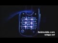 Foto pequena SonyEricsson Z310i Lighting Effects