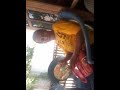 Bokep Jombang images Bokep Jombang