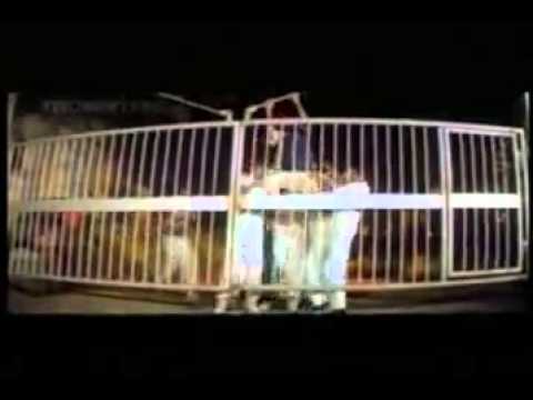 Dilwale 1994 Part 1 mp4