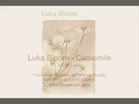 Camomile Video
