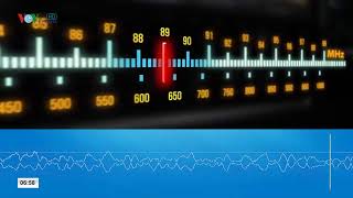 Kênh Vov Fm 89 Live Stream
