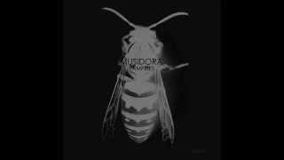 Watch Musidora Vampires End Of It All video