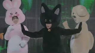 250329 Ateez Fan Meeting In Japan Bouncy