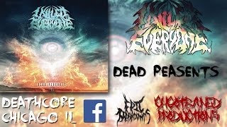 Watch I Killed Everyone Dead Peasants video