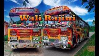 Wali Rajina Sri Lanka Beautiful Bus අනව බලනන Dilnethu Super Line
