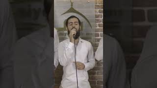Şehadet Şehadet