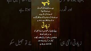 Chup Or Ziadti