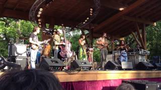 Watch Elephant Revival To And From video