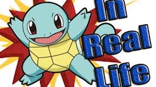 Squirtle In Real Life