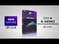 2002 ► El abismo (vida en las profundidades)
