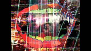 Watch Animal Collective Father Time video