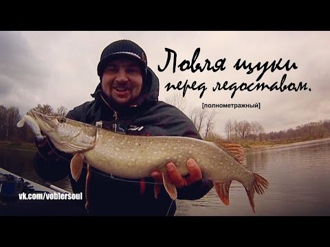 ловля щуки перед ледоставом ловля щуки перед ледоставом