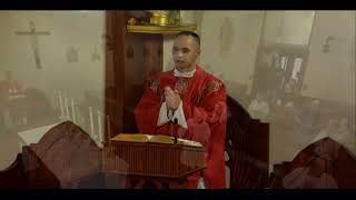 Catholic Daily Mass - Daily TV Mass - July 6 2022