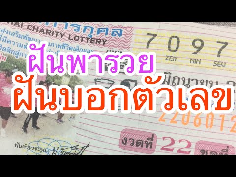 ฝันพารวย ฝันบอกตัวเลข ตีเลข ตีหวย รวยไปด้วยกัน