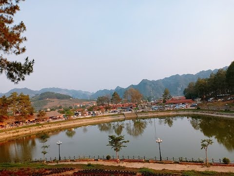 Rừng Thông Bản Áng - Mộc Châu 2019