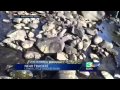 Stranded fish die as reservoir water supply stops near Truckee