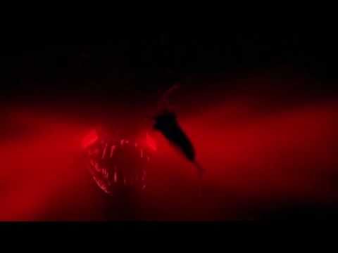 Life As A Fish Video