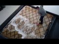 Anacortes Area Rug Cleaners 360 647 9290