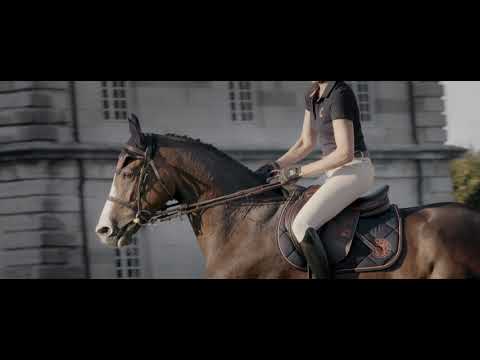 Toutes les vidéos