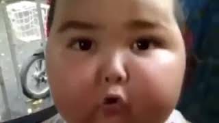 Gib Mir Her Die Brotbox
