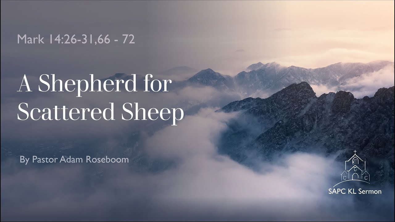 2020 Weekly Sermon