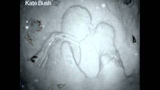 Watch Kate Bush Snowflake video