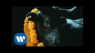 Watch Foals Black Bull video