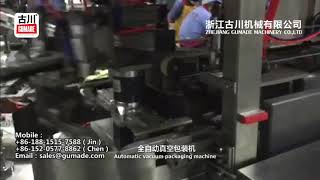Automatic vacuum packing machine Kimchi industry in Korea