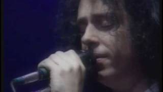 Watch Toto I Wont Hold You Back video