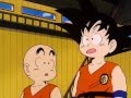 Goku and Chiaotzu showing off their logic skills