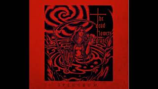 Ritus - The Dead Flowers Graves