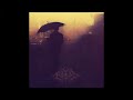 Agony Of Life Video preview