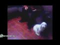 Anda a cambiarle la radio a esta vieja ql [Chile]