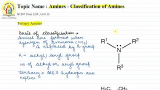 5 | TERTIARY AMINES