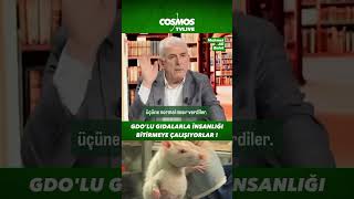 Tarımda Gdo Gerçeği