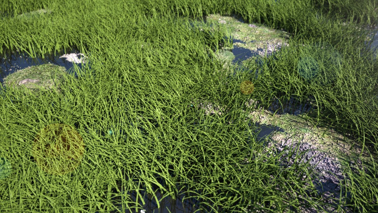 Creating Hyper Realistic Grass In 3D Studio Max 2015 & IRAY YouTube