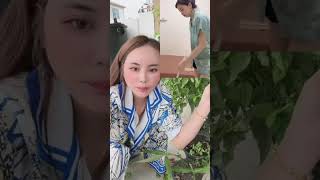 Live, Periscope Live, Tiktok Live, Hijab, Imo, No Armor, Daster Bolong,, Blunder, Boba Besar